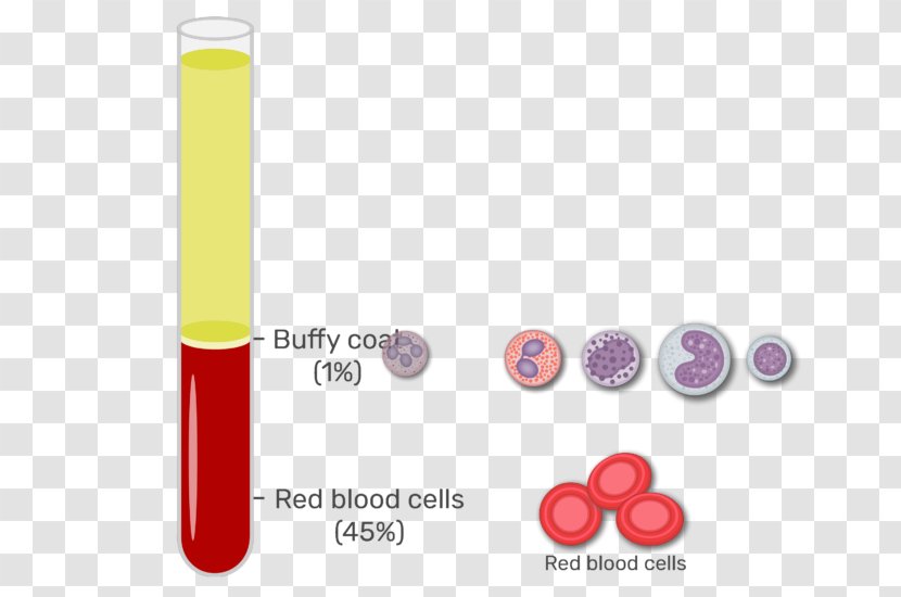 Buffy Coat Red Blood Cell Plasma White - Magenta Transparent PNG