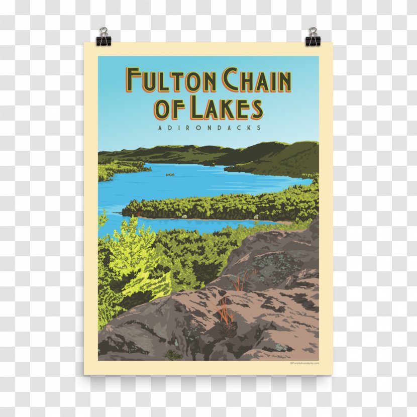 Adirondack Park Inlet Fulton Chain Of Lakes Raquette Lake Pure Adirondacks - Tree - Old Forge Mountains Transparent PNG
