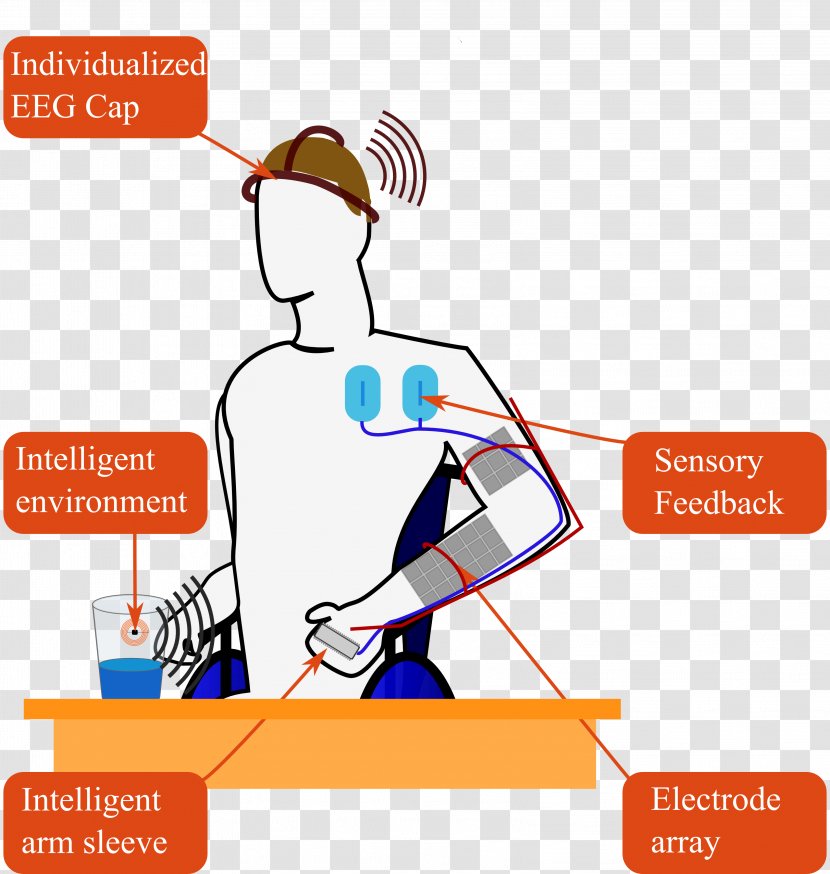 Neuroprosthetics End User System Spinal Cord - Electroencephalography Transparent PNG