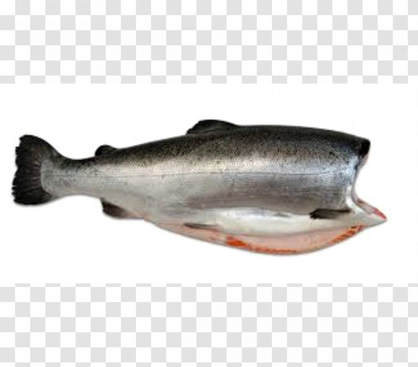 Coho Salmon Oily Fish Seafood - Capelin - SALMON Transparent PNG