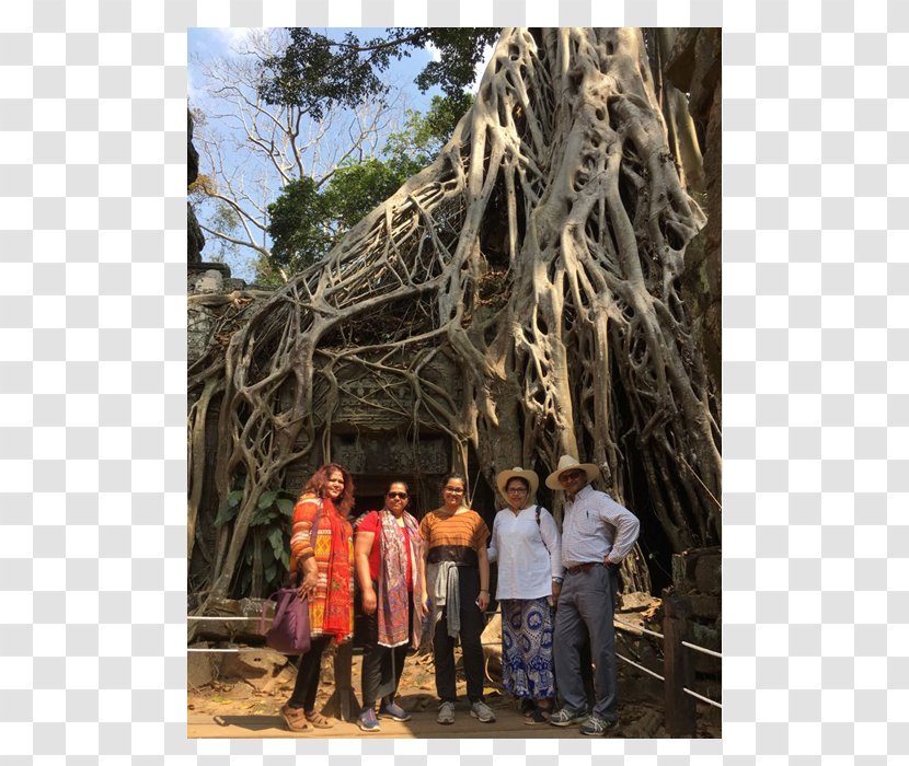 Ta Prohm Angkor World Heritage Site UNESCO Cultural - Cambodia Royal Palace Transparent PNG