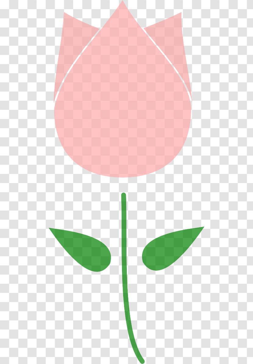 Clip Art Green Pink Leaf Line - Peach - Tulip Transparent PNG
