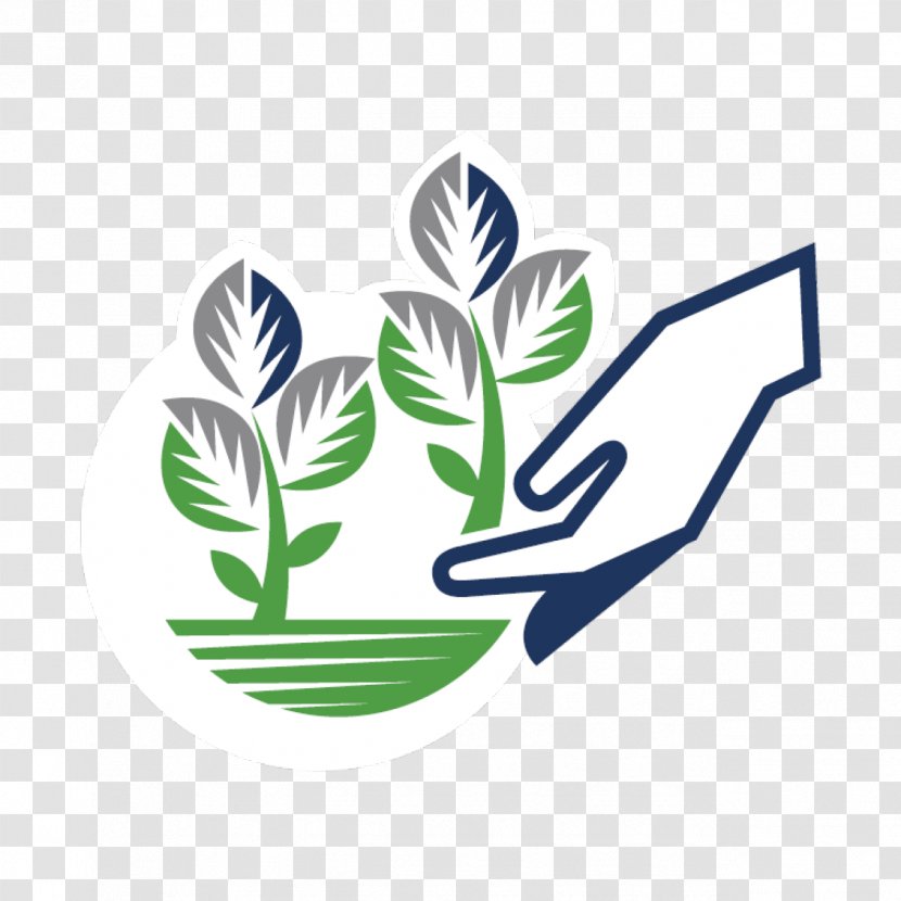 Green Leaf Logo - Symbol Plant Transparent PNG