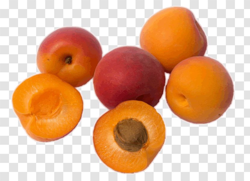 Apricot Kernel Oil Amygdalin Fruit Transparent PNG