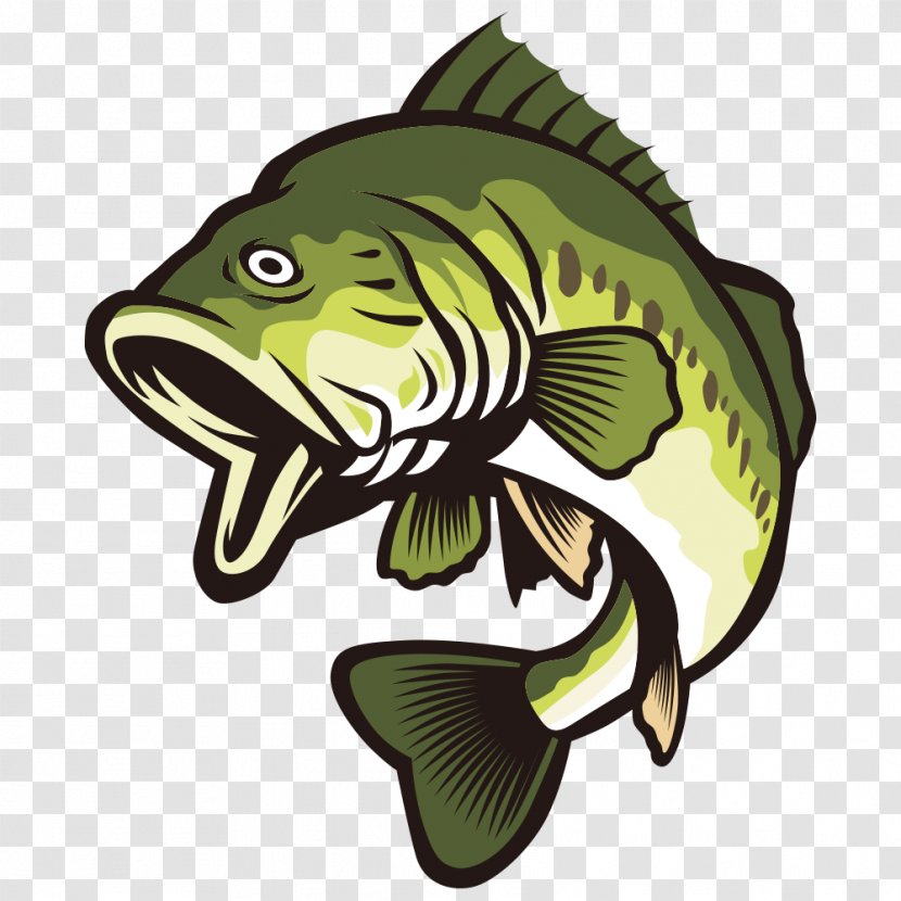 Largemouth Bass Clip Art - Fish - Open Your Mouth And Green Transparent PNG