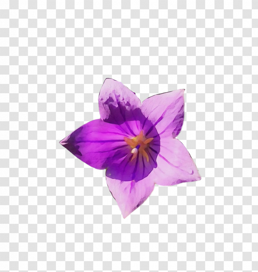 Lavender Transparent PNG