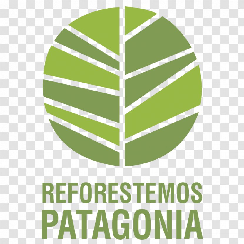 Melipilla Patagonia Accommodation Reforestation Foundation - Grass - Mos Transparent PNG