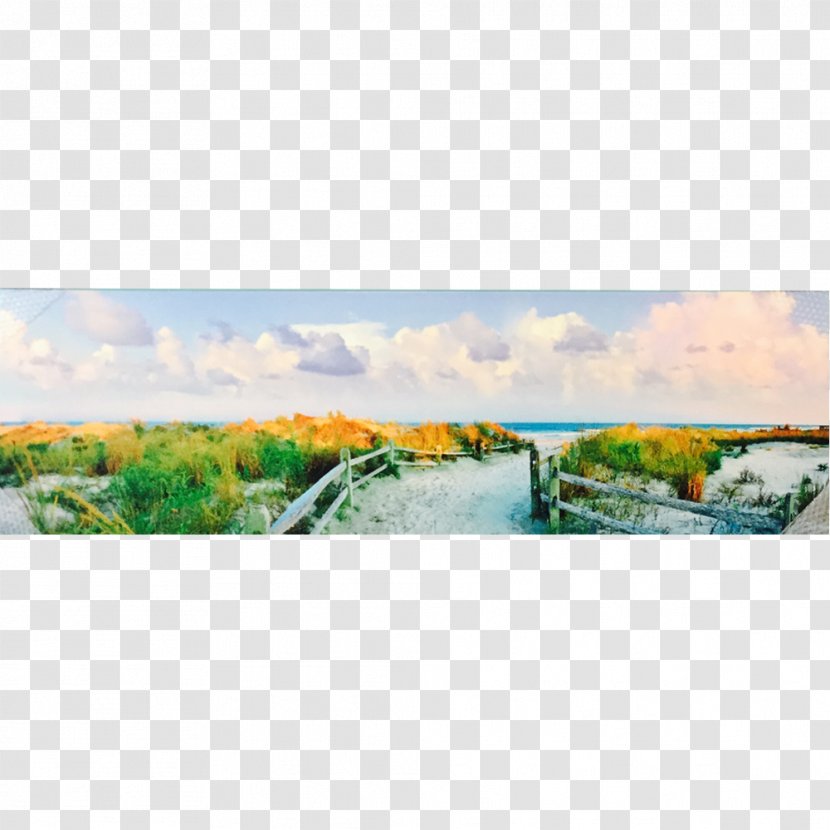Island Art Panoramic Photography Panorama Work Of - Watercolor Transparent PNG