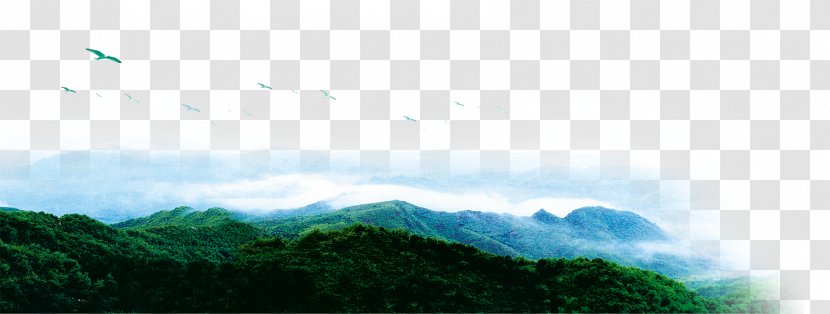 Daytime Sky Energy Sunlight Wallpaper - Phenomenon - Tree Hill Transparent PNG