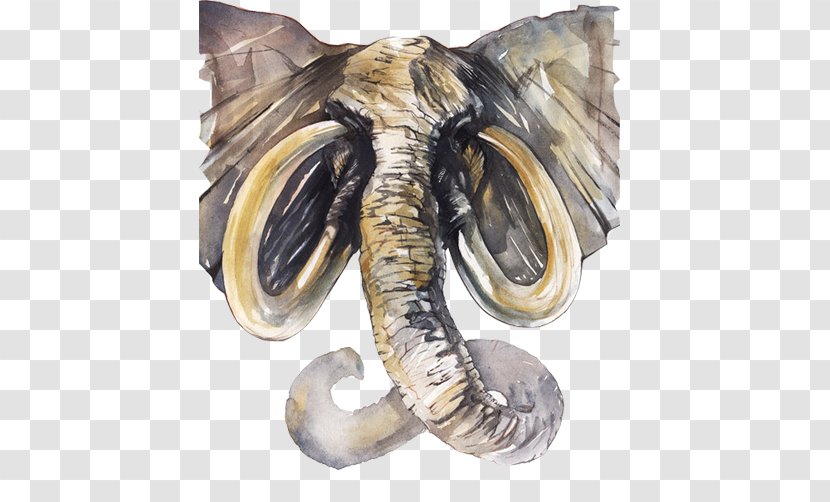 Watercolor 1,2,3 Drawing Painting Painter Illustration - Illustrator - Elephant Line Material Picture Transparent PNG