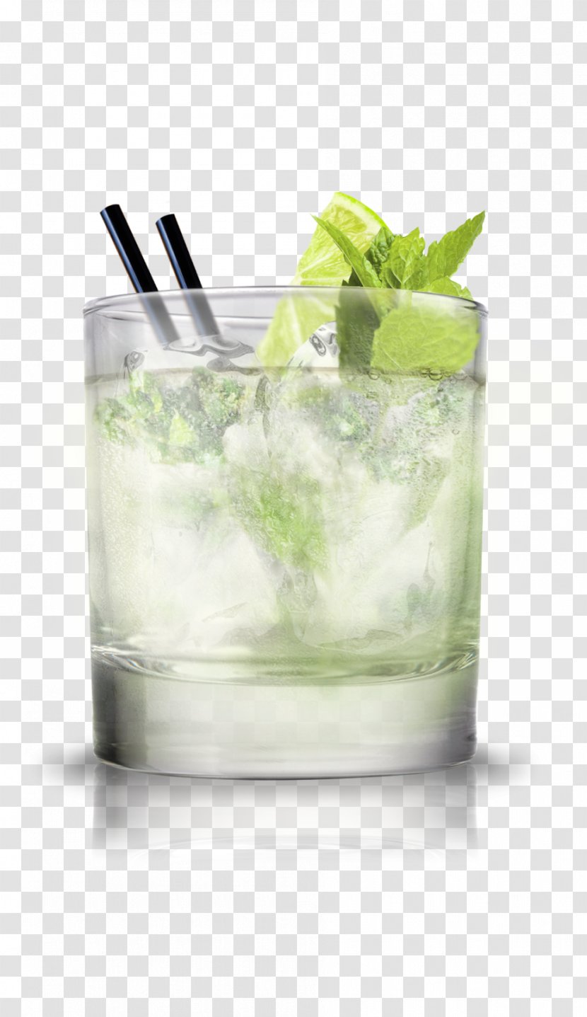 Rickey Tequila Mojito Cocktail Garnish Margarita - Rum Transparent PNG