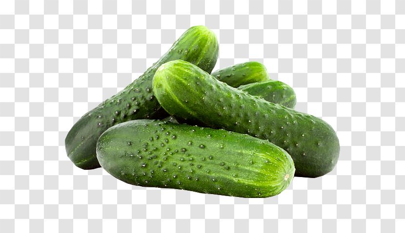 Pickled Cucumber Vegetable Fruit Salad - Gourd Order Transparent PNG