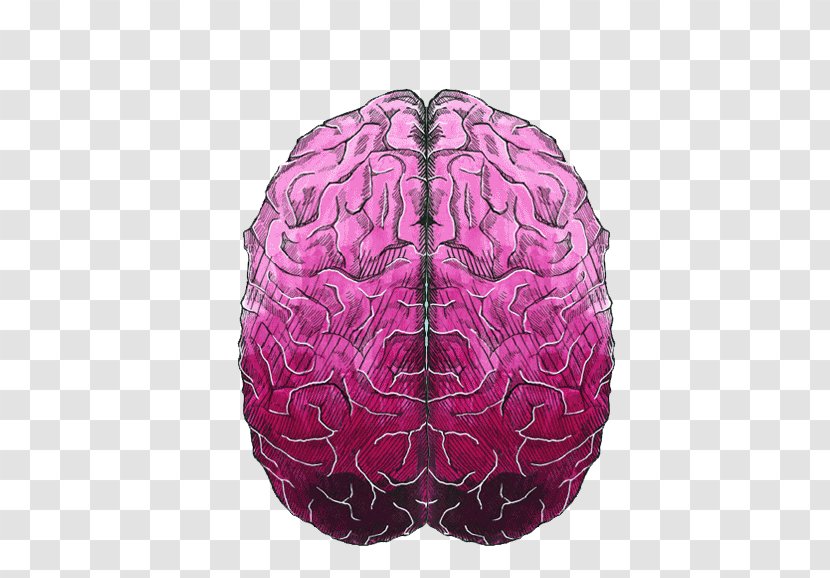 Creativity Illustrator Art Illustration - Heart - Hand Drawn Brain Pattern Transparent PNG