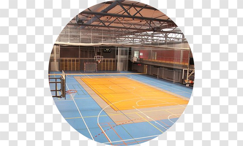 Multifunctional Sports Hall Stadium Fitness Centre - Sport - HALA Transparent PNG