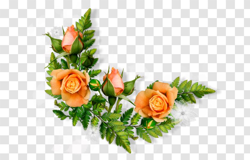 Flower Greeting Wish Image Morning - Rose Order Transparent PNG