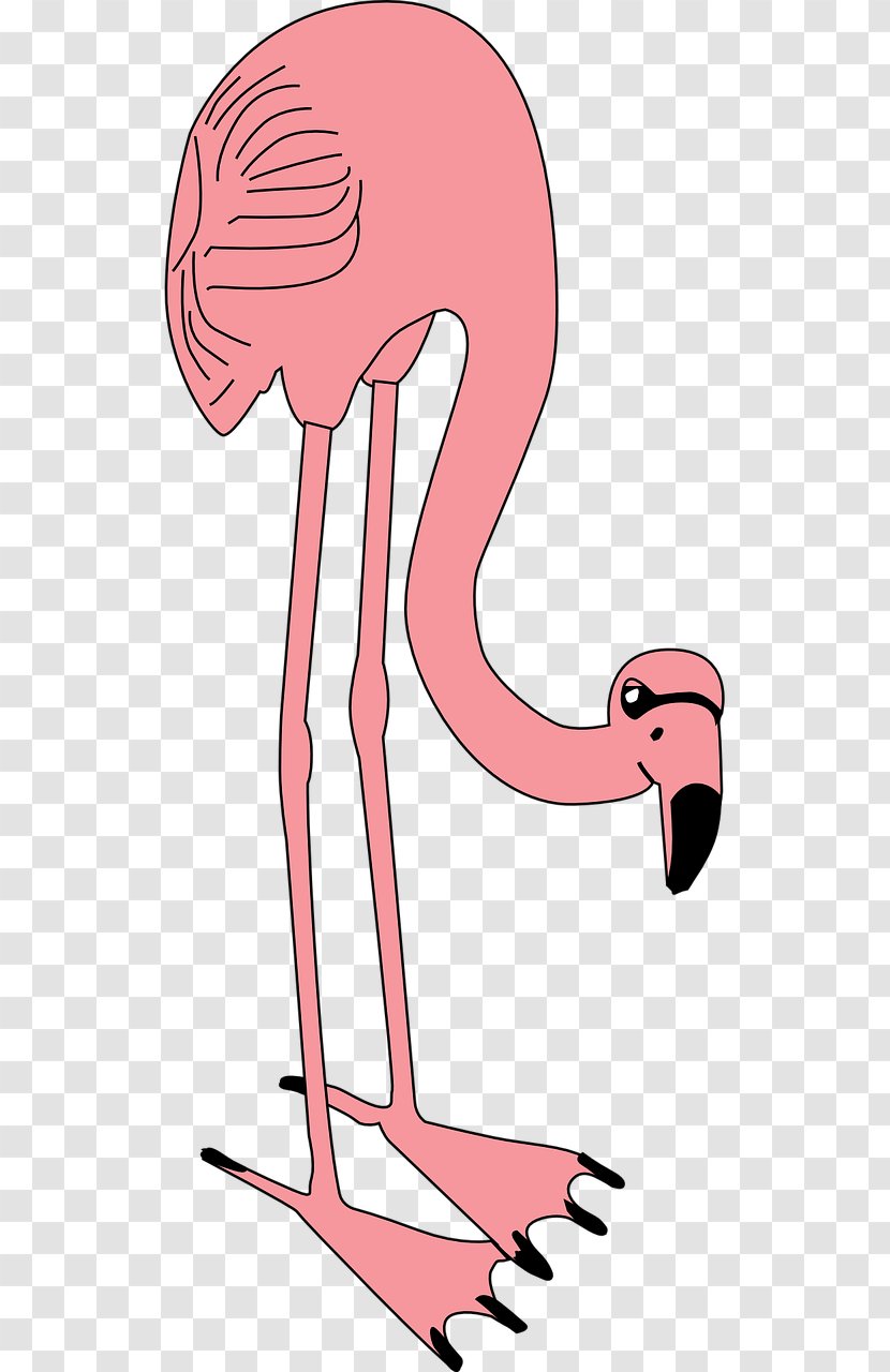 Flamingo Bird Pink Clip Art - Watercolor - Football Food Flamingos Transparent PNG