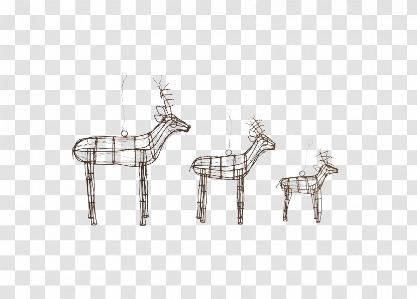 Giraffe Reindeer Horse Neck - Like Mammal Transparent PNG