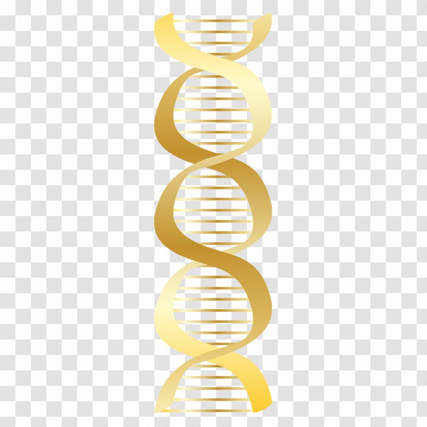 DNA Nucleic Acid Double Helix Vector Free Content Clip Art - Gene - Cliparts Transparent PNG
