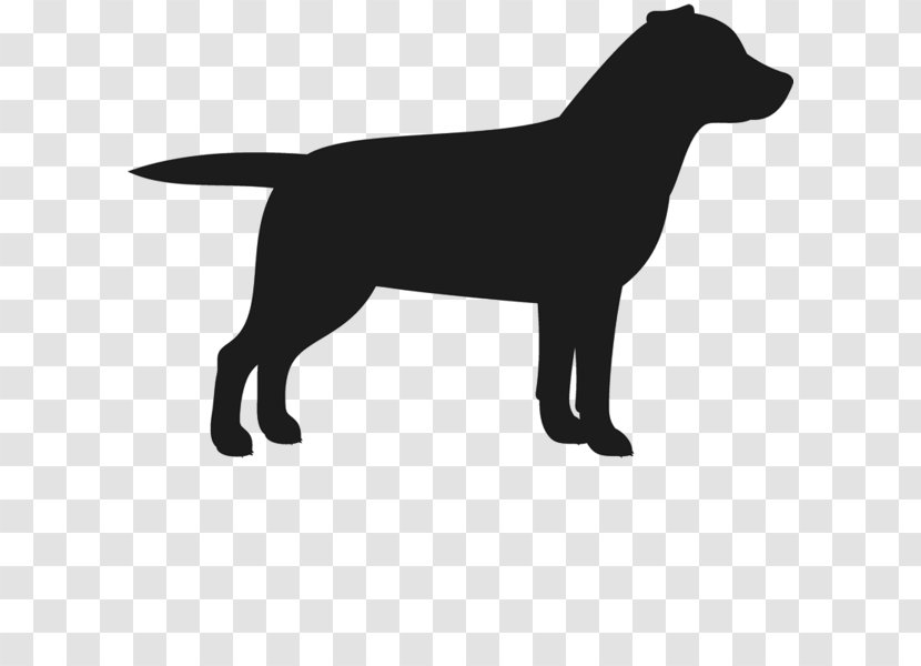 Labrador Retriever Puppy Staffordshire Bull Terrier Dog Breed - Leash Transparent PNG