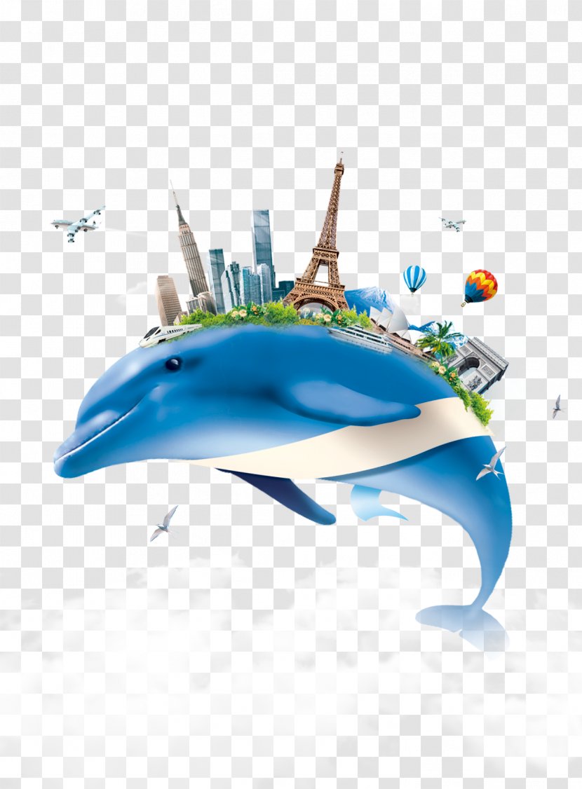 Creativity Poster Service Freight Transport Sales - Dolphin Transparent PNG