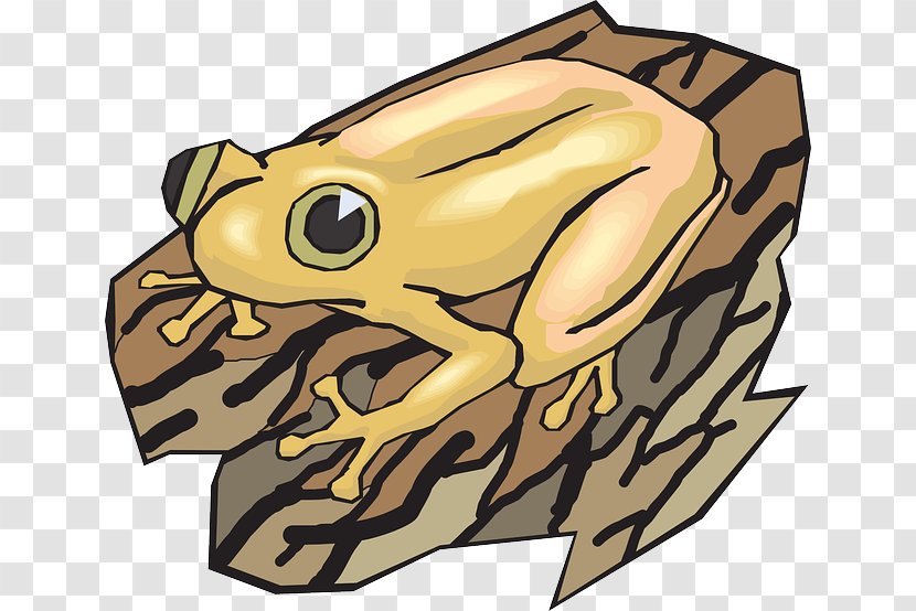 Frog Clip Art - Toad - Amphibian Transparent PNG