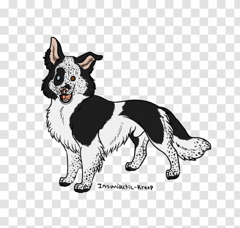 Dog Breed Border Collie Rough Drawing Leash - Tail Transparent PNG
