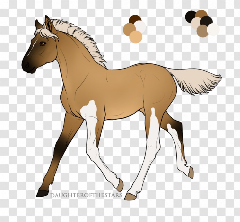 Mule Foal Stallion Colt Mare - Rein - Mustang Transparent PNG