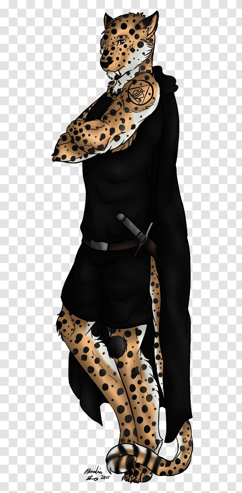 Tiger Black Panther Jaguar Felidae Leopard - Big Cats Transparent PNG