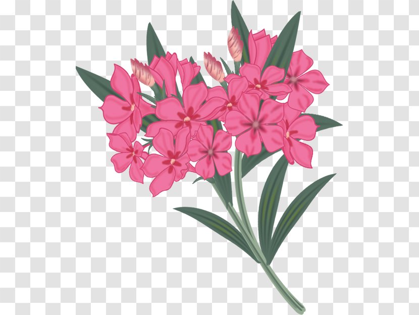 Flower Painting Drawing - Blume - Paint Smudge Transparent PNG