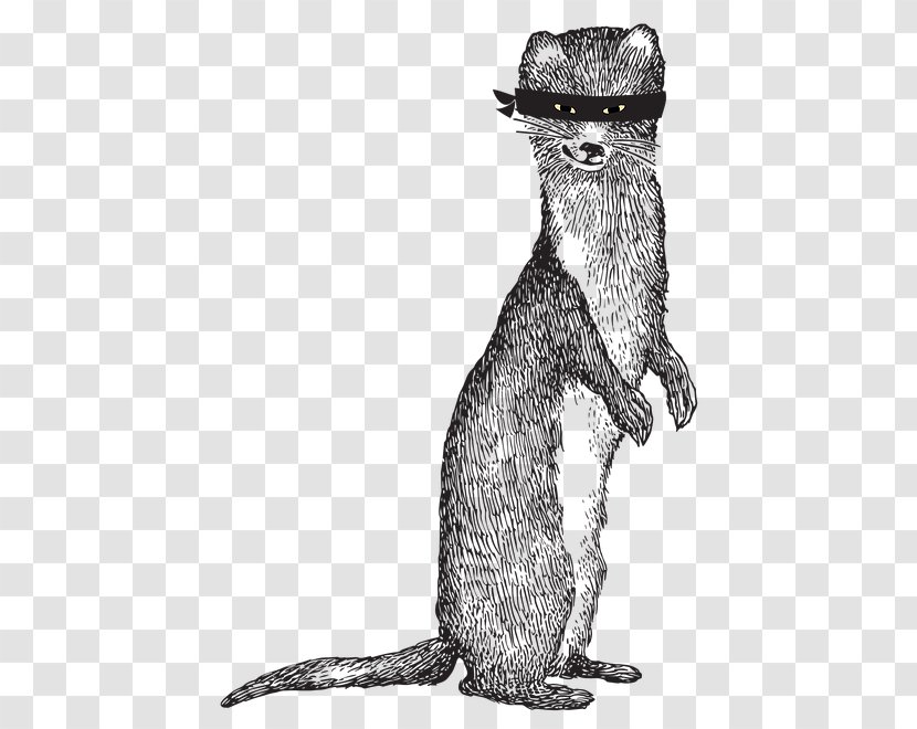 Beer Weasels Whiskers Lager Mammal - Fur Transparent PNG