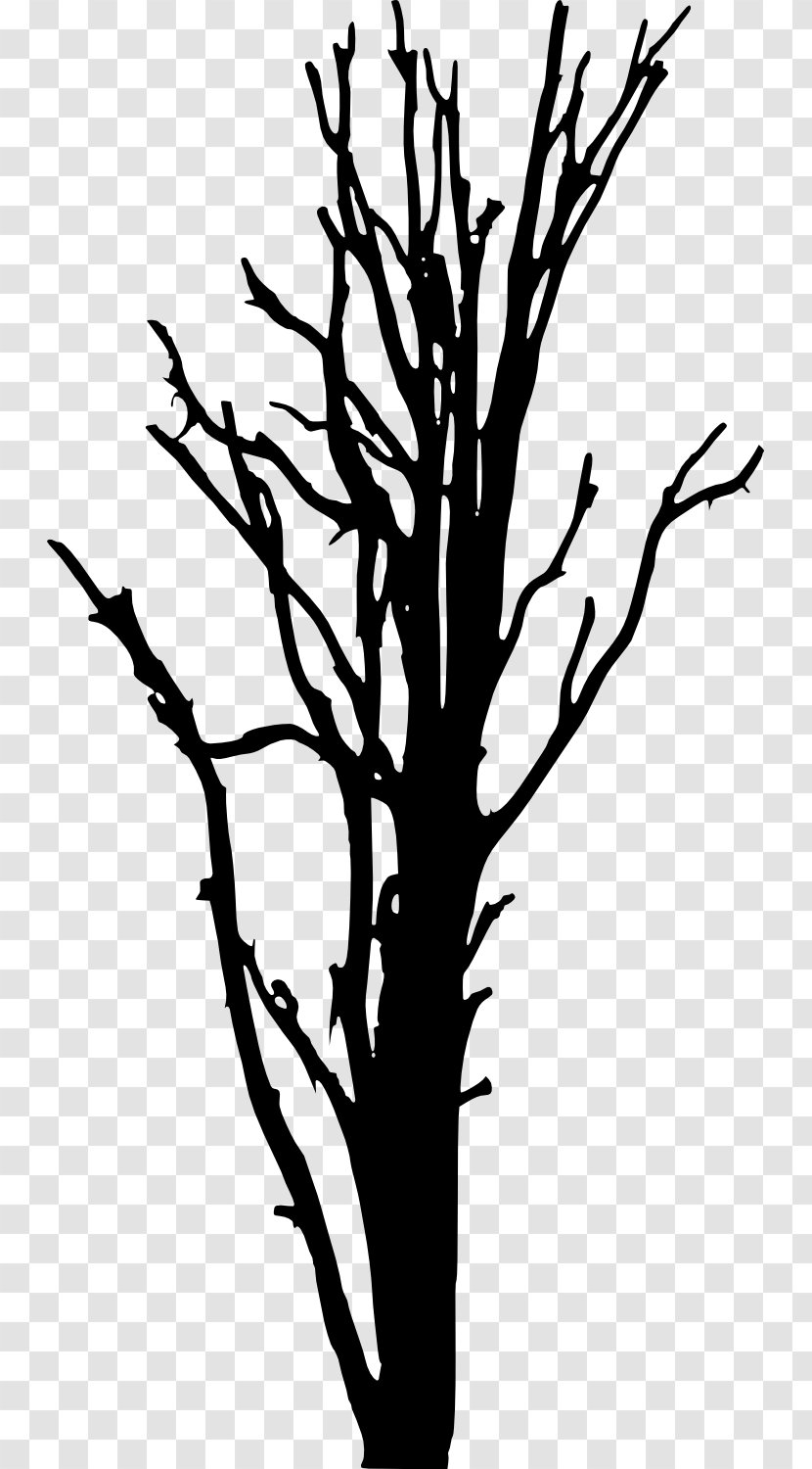 Woody Plant Tree Silhouette Clip Art - Leaf - Dead Transparent PNG