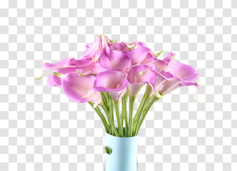 Flower Arum-lily Clip Art - Lilac - Purple Calla Transparent PNG