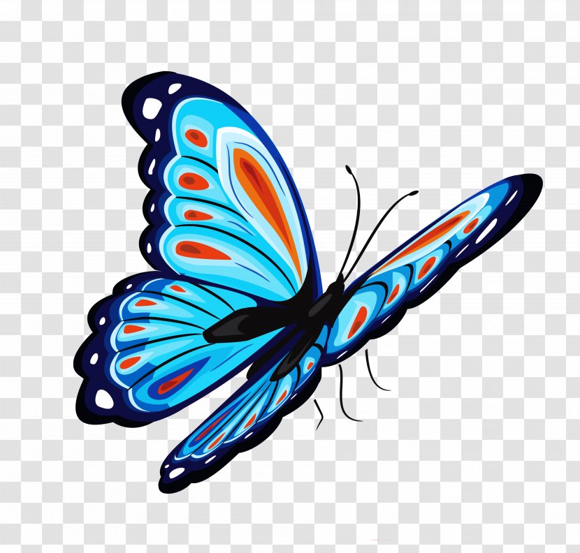 Butterfly T-shirt Clip Art - Invertebrate - Blue And Red Clipart Picture Transparent PNG