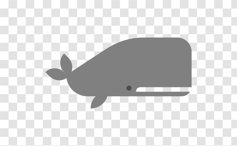 Dolphin Aquatic Animal Whale - Mammal Transparent PNG