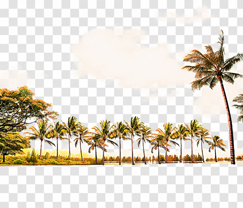 Travel Summer Beach - Vacation - Wind Tourism Transparent PNG