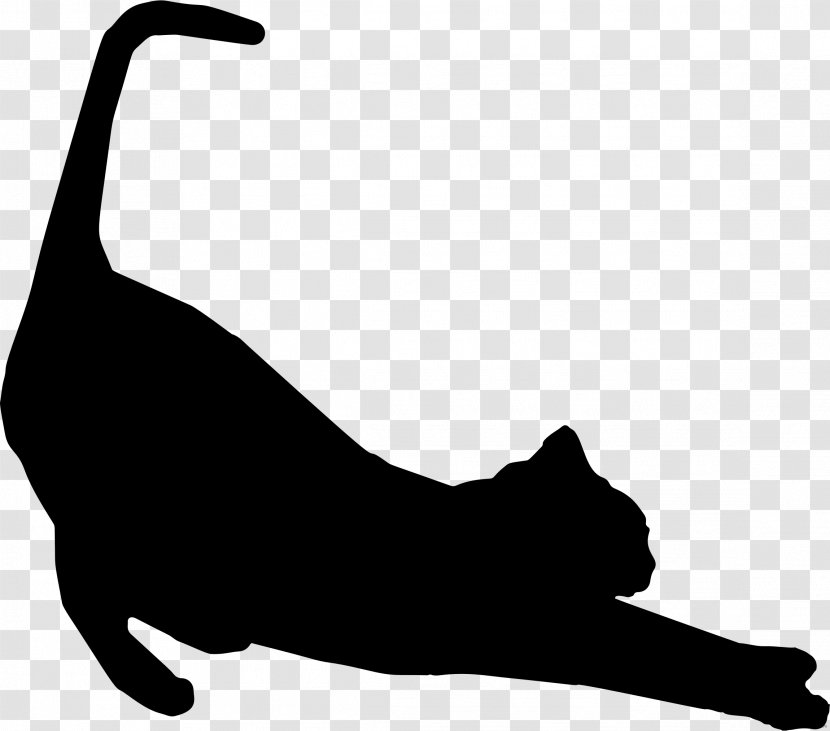 Cat Protection Society Of Victoria Siamese Kitten Silhouette Stretching Transparent PNG