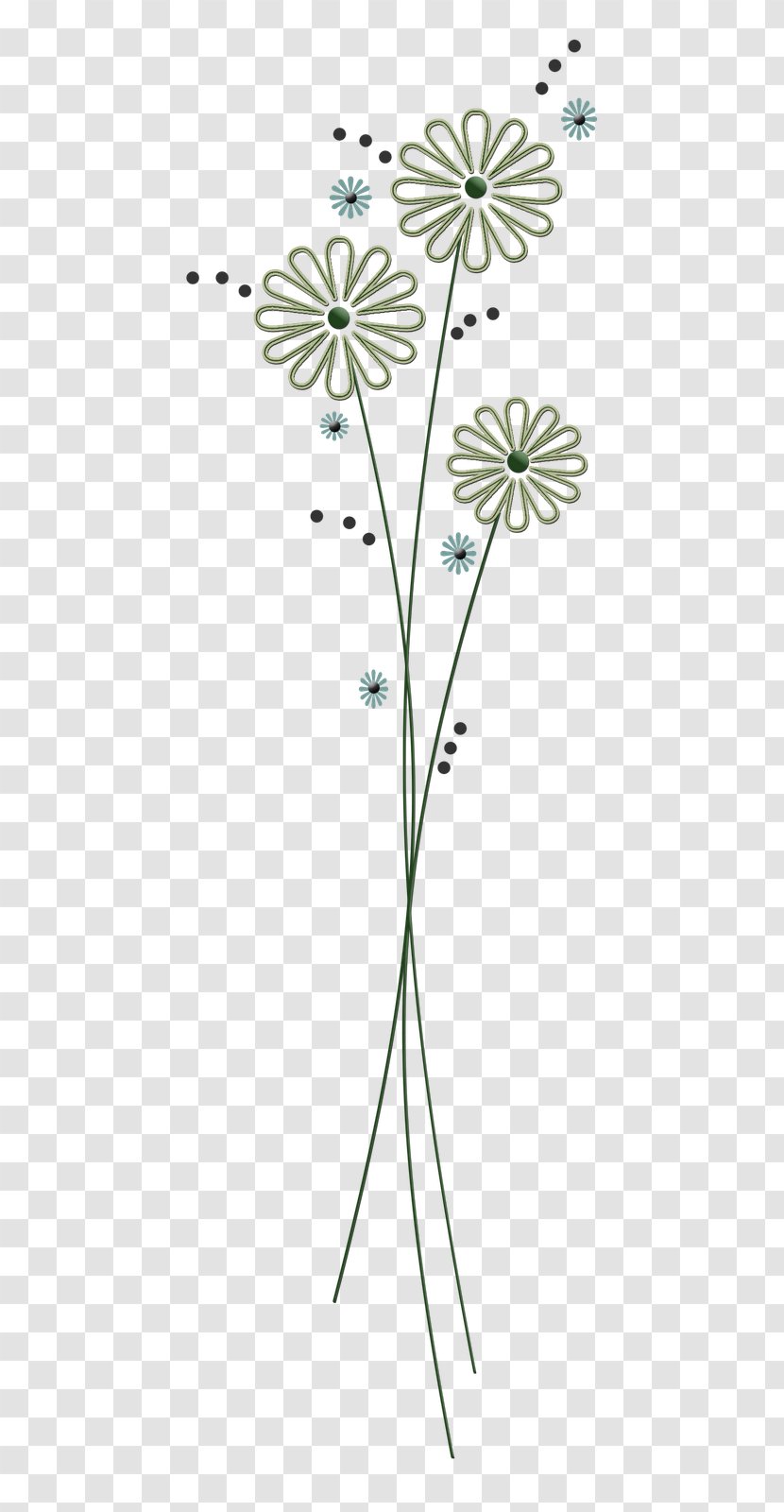 Floral Design Symmetry Flowering Plant - Organism Transparent PNG