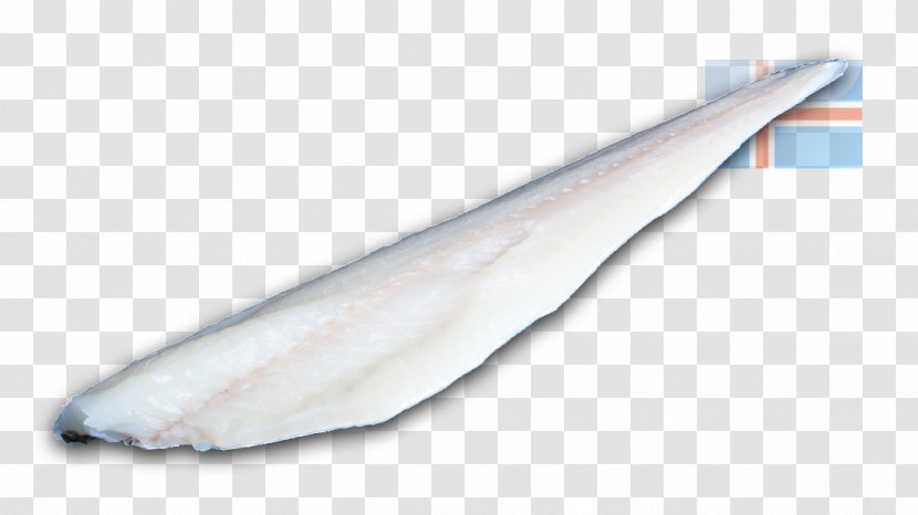 Icelandic Cuisine Fish Cod Fillet Seafood - Wing Transparent PNG