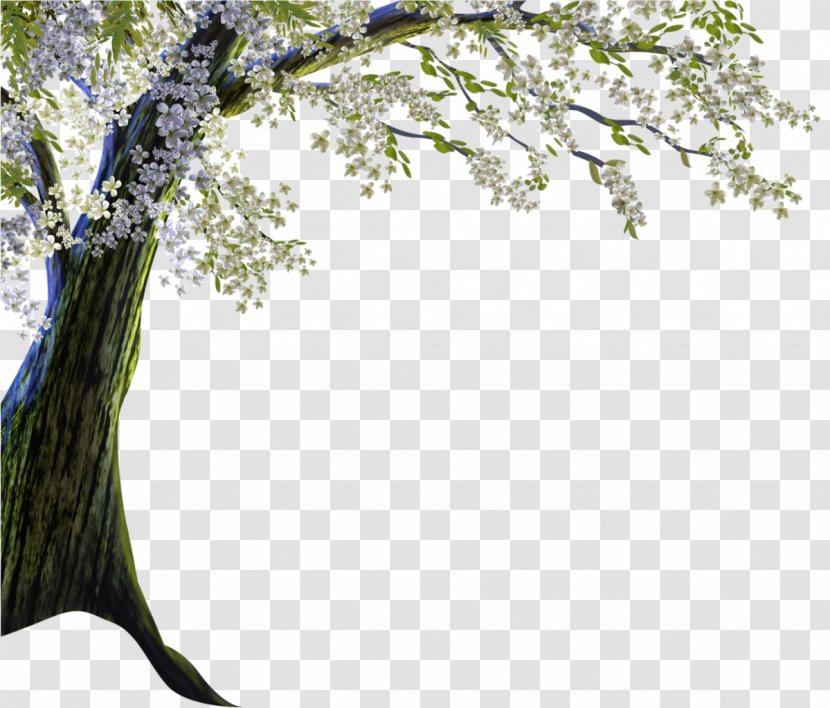Landscape Photography Clip Art - Flora - Tree Transparent PNG