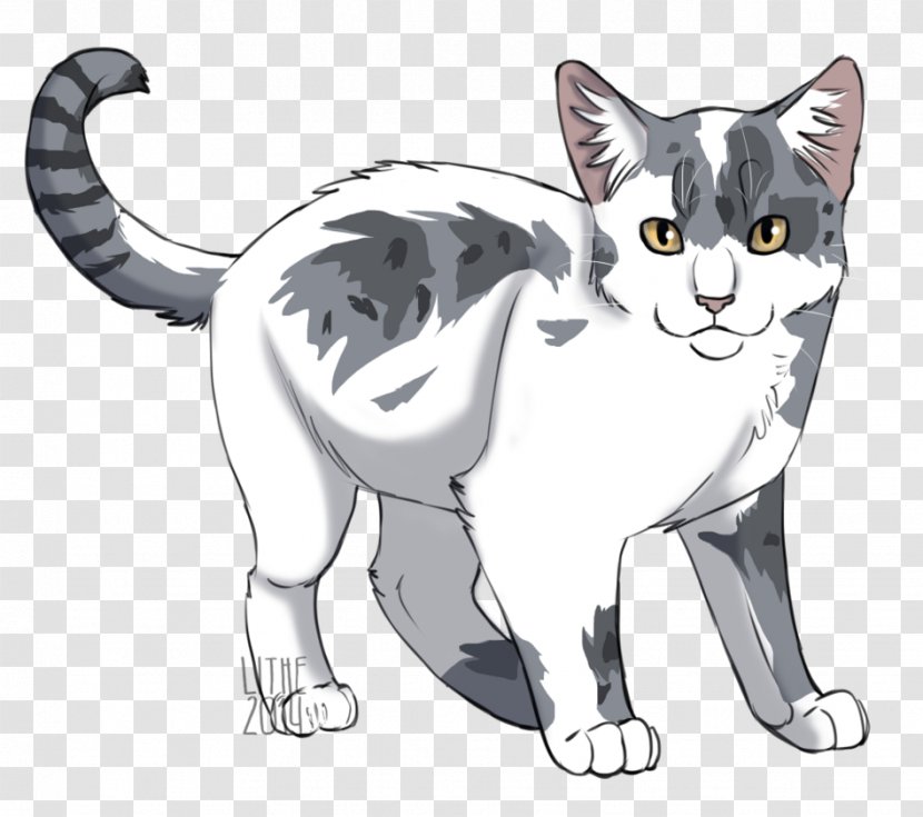 American Wirehair Kitten Domestic Short-haired Cat Tabby Wildcat - Art Transparent PNG