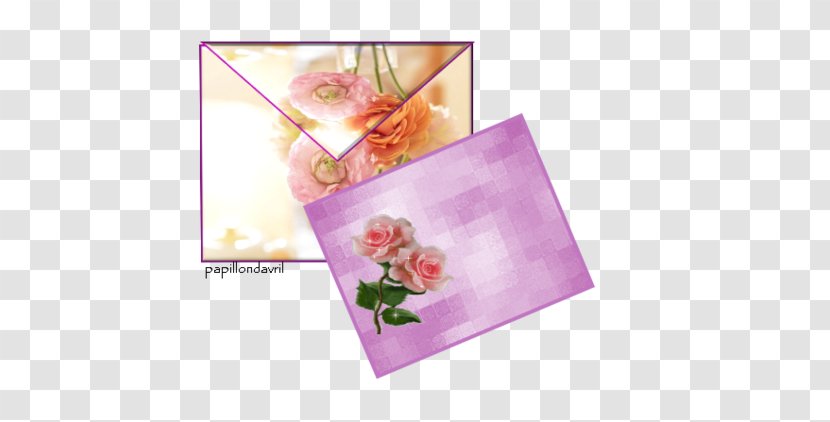 Pink M - Flower - Cef Transparent PNG