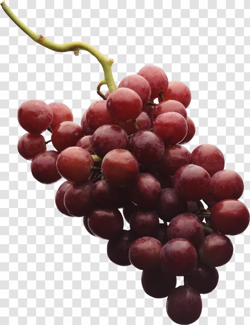 Red Wine Shiraz Grape - Zante Currant - Image Transparent PNG