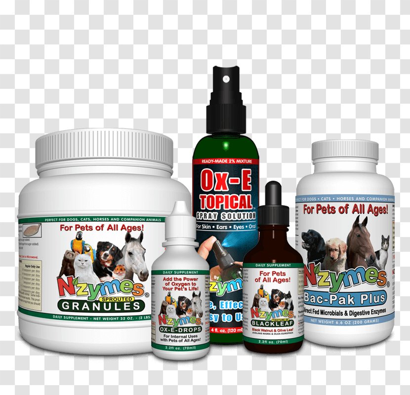 Great Pyrenees Dietary Supplement Australian Cattle Dog Health Pet - Skin Disorders - Problem Transparent PNG