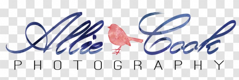 Logo Brand Line Font - Watercolor Cooking Transparent PNG