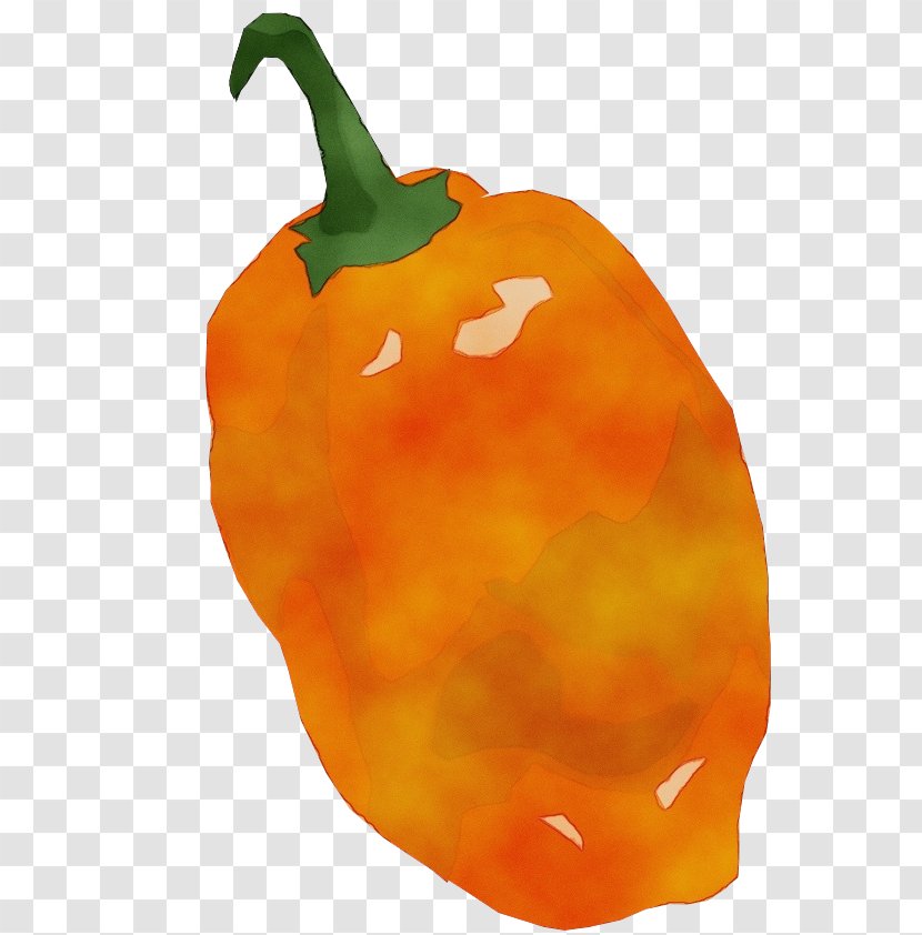 Orange - Bell Peppers And Chili - Food Paprika Transparent PNG