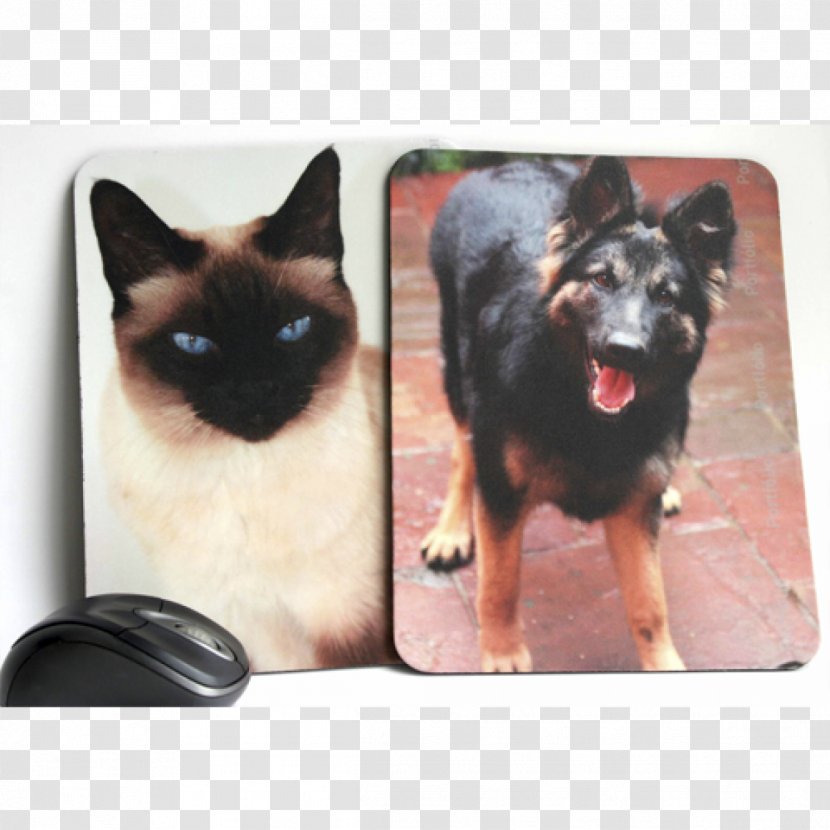 Dog Breed German Shepherd King Shiloh - Mouse Pad Transparent PNG