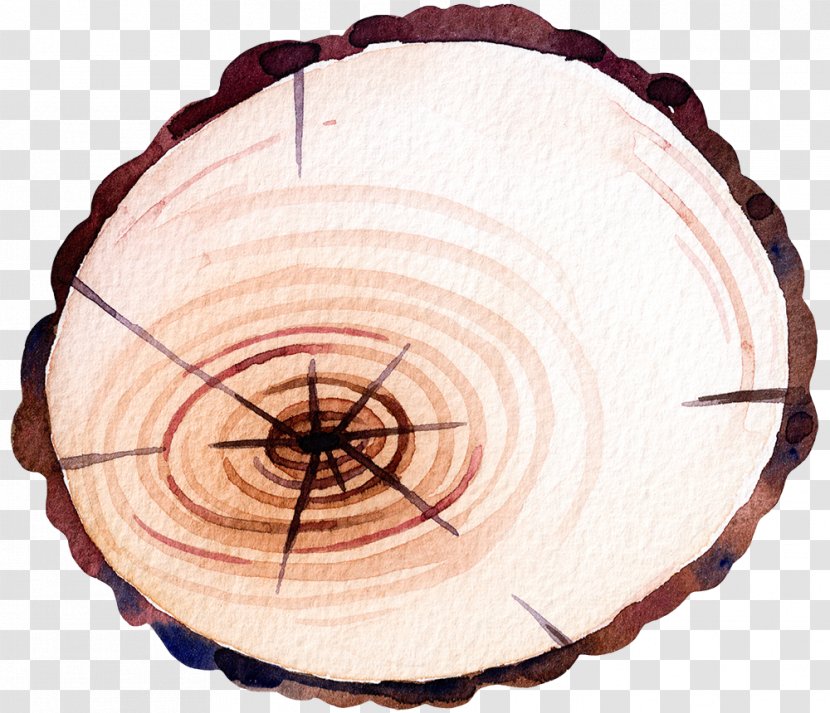 Tree - Tableware - Hand-painted Wood Round Transparent PNG