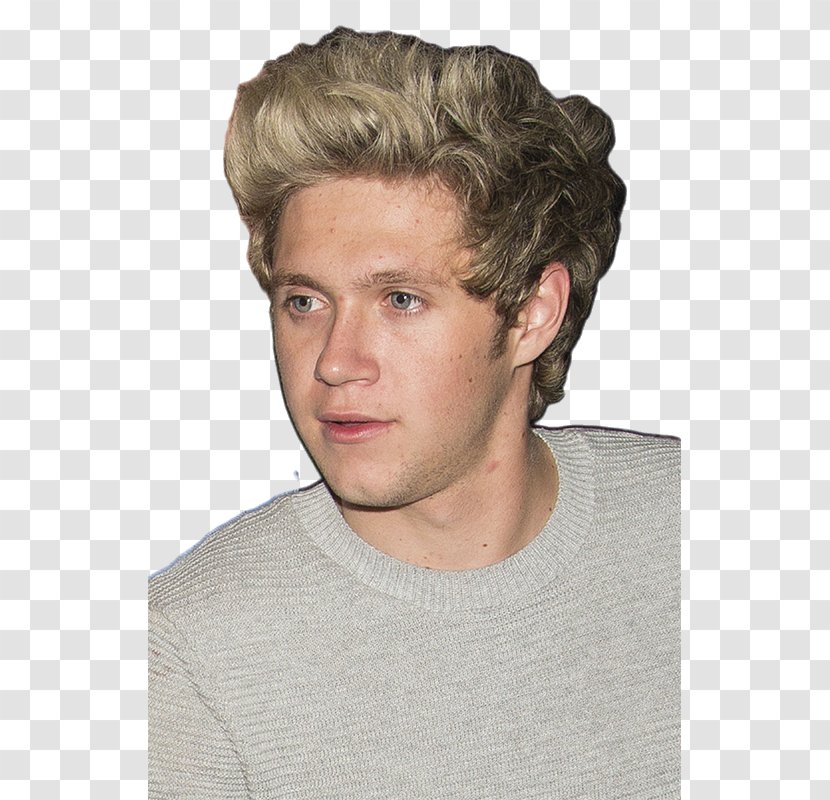 Niall Horan Mullingar One Direction - Frame Transparent PNG