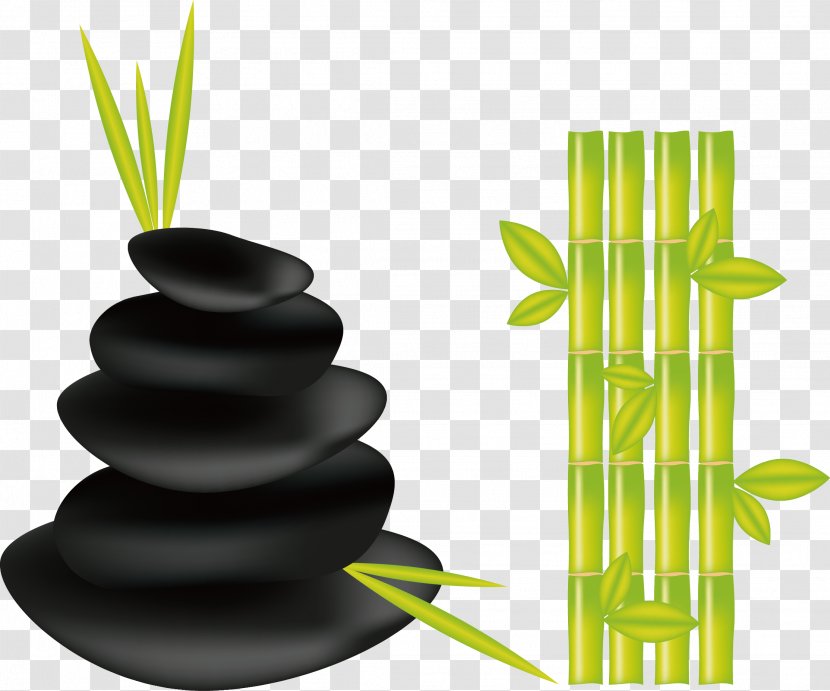 Day Spa Beauty Parlour - Bamboo And Rockery Transparent PNG