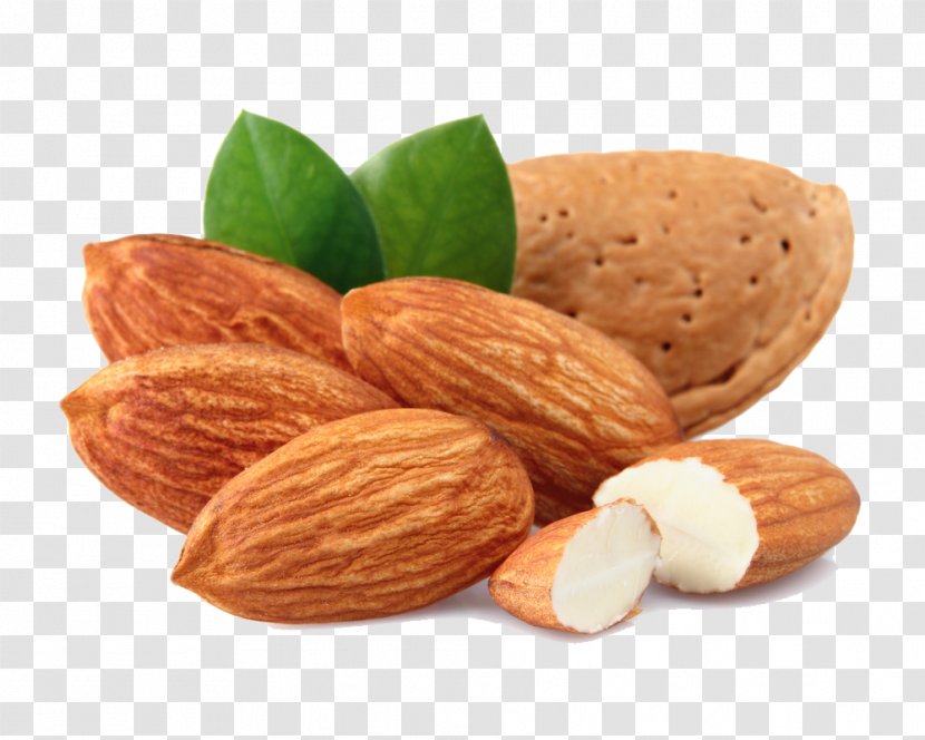 Almond Nut Dried Fruit Clip Art - Cashew - Transparent Images Transparent PNG